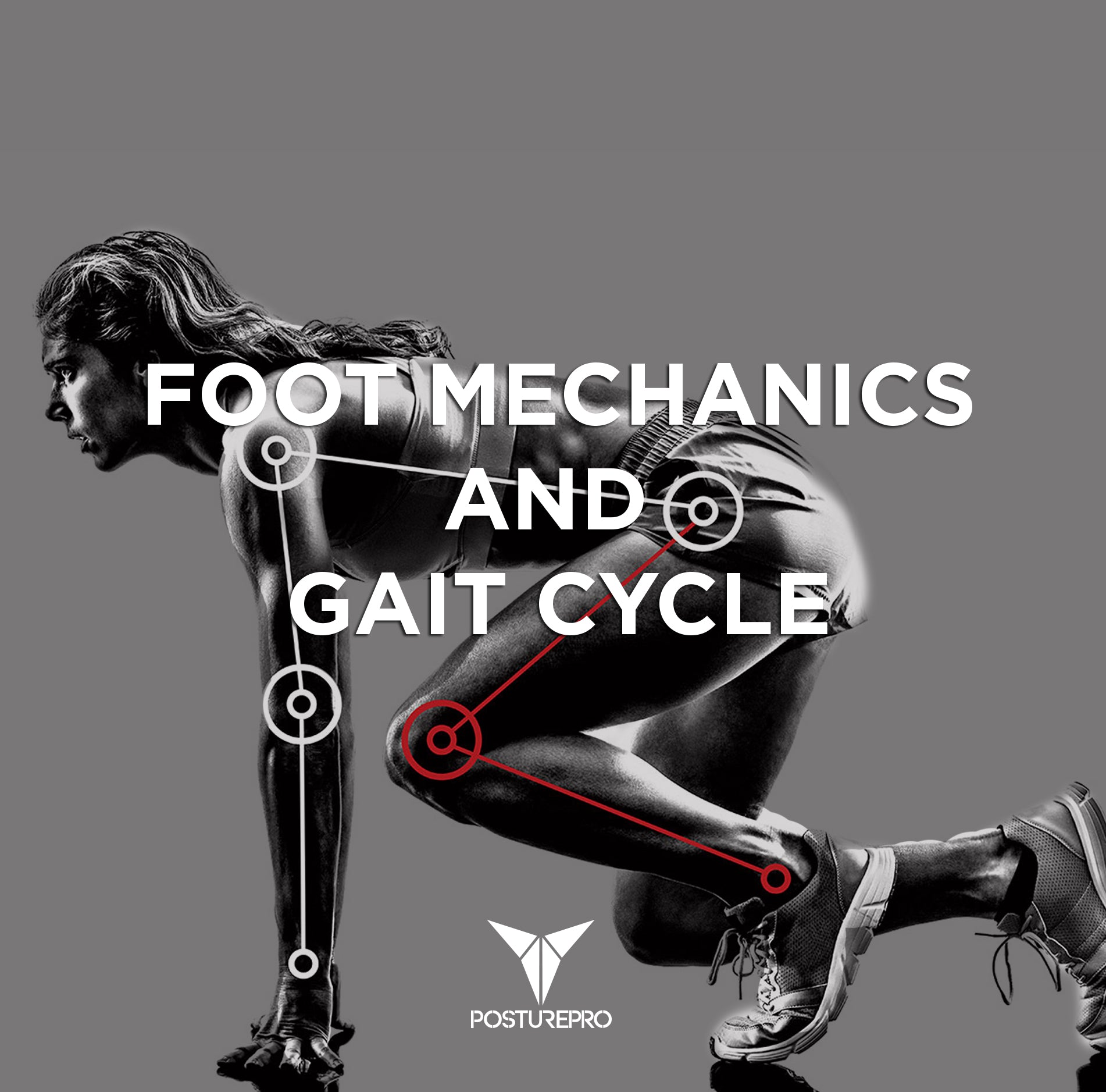 Foot Mechanics and  Gait Cycle